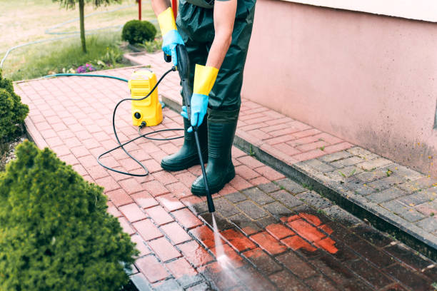 Best Roof Pressure Washing  in Byron, MN